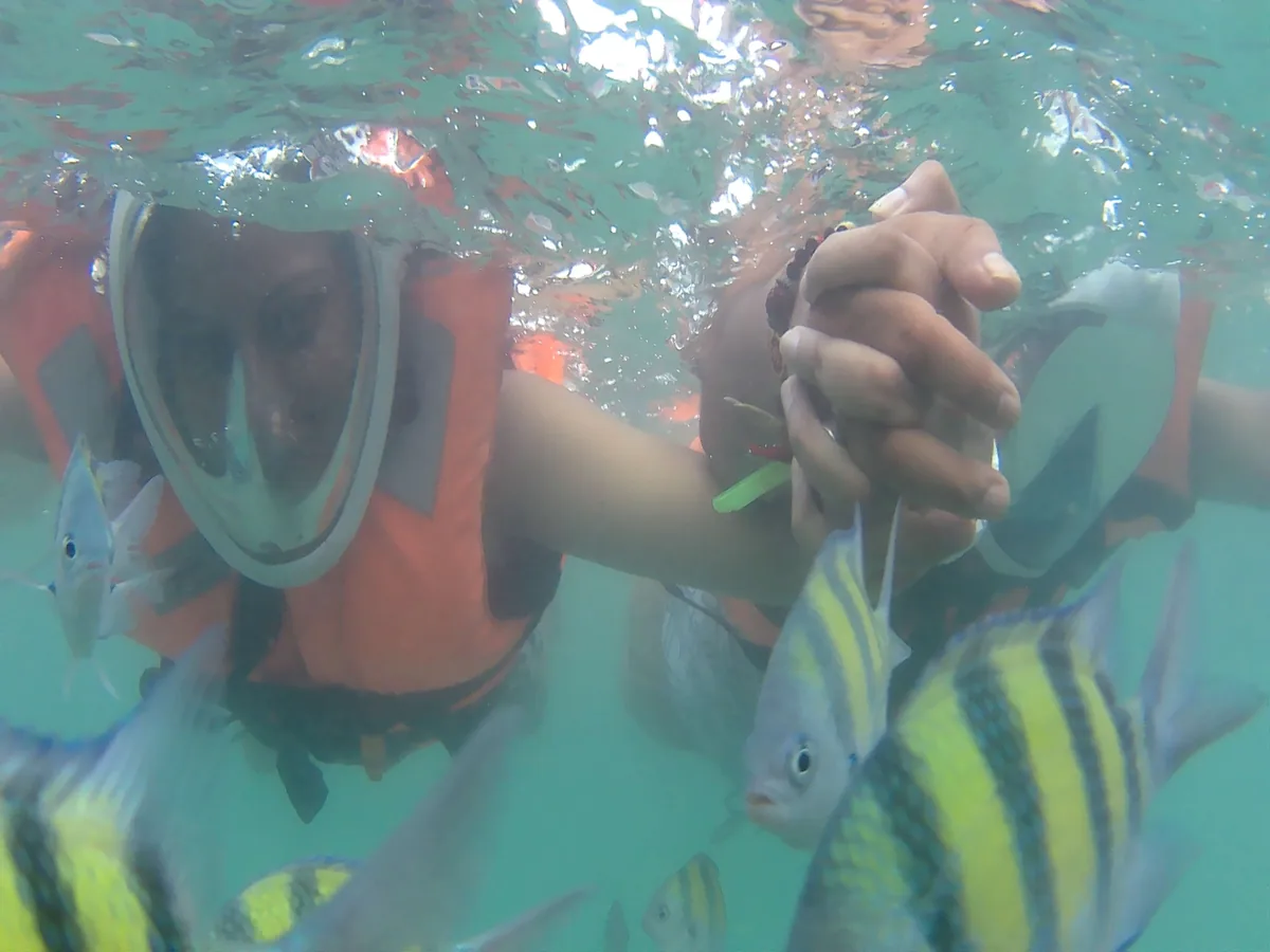 Snorkelling at Elephant Beach, Havelock