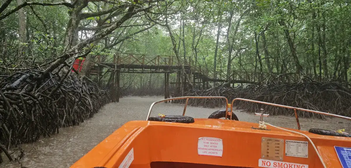 Boat ride through the mangrove creek at Baratang, on the way to the Limestone Cave