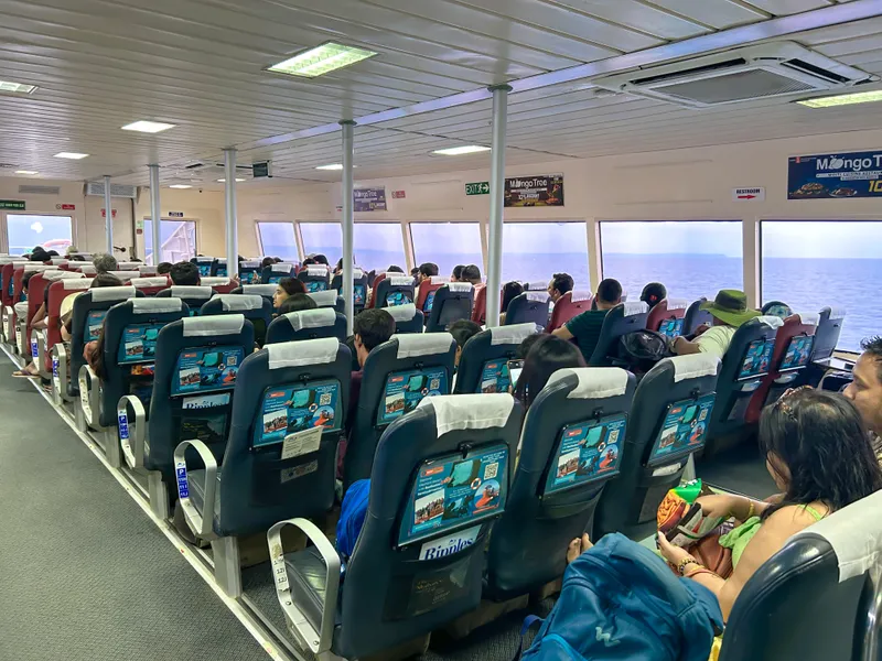 Close-up of Makruzz premium class seating with padded armrests