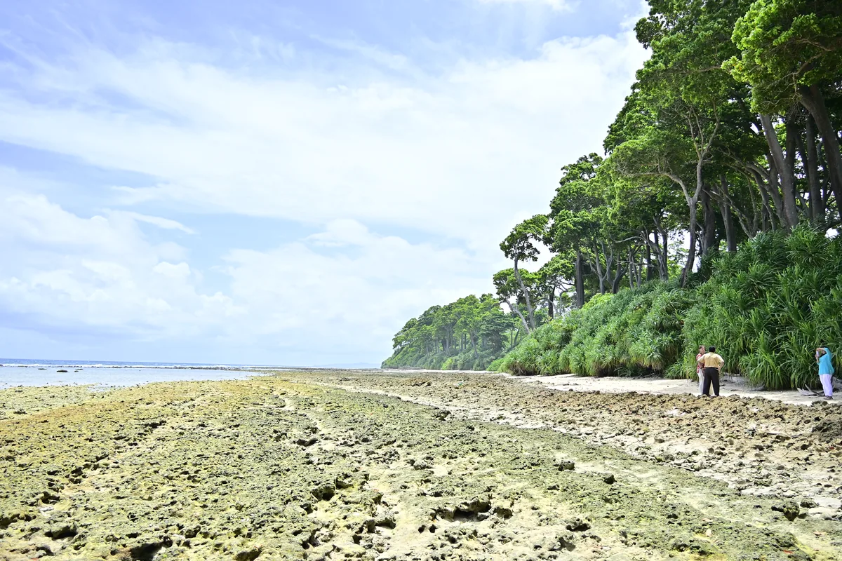 Natural Rock Bridge at Neil Island at low tide